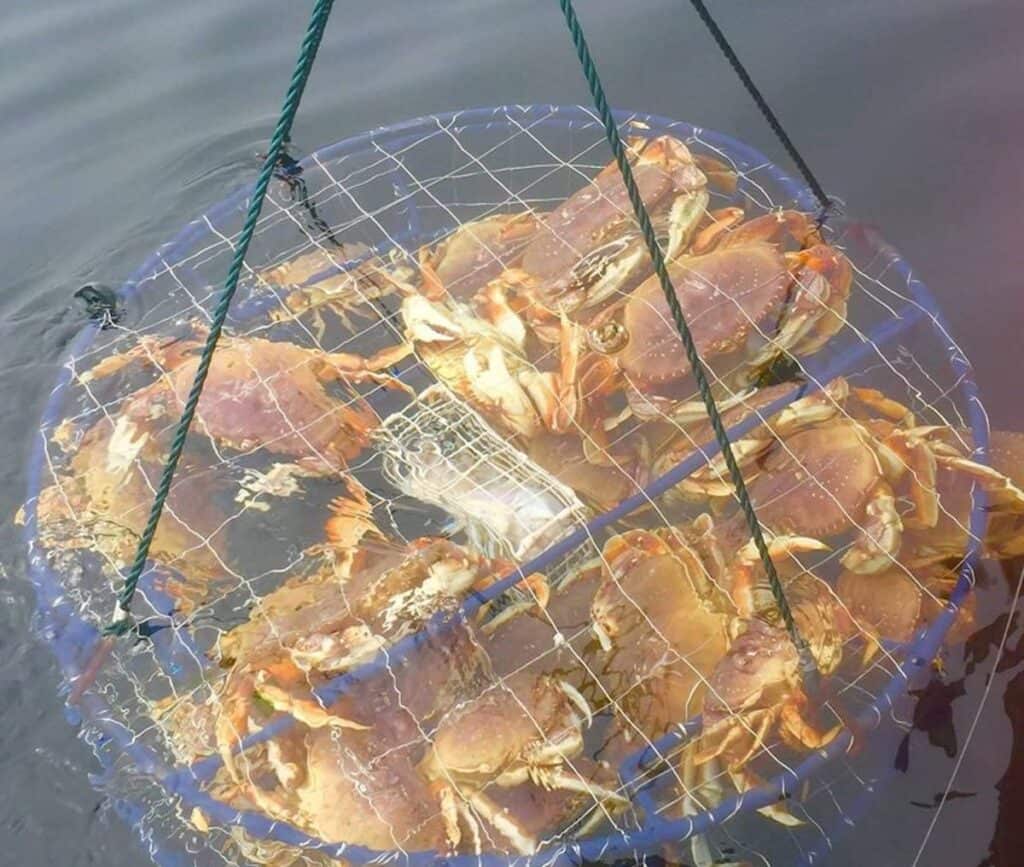 10 Best Crabbing Bays on the Oregon Coast (2023) Best Fishing in America