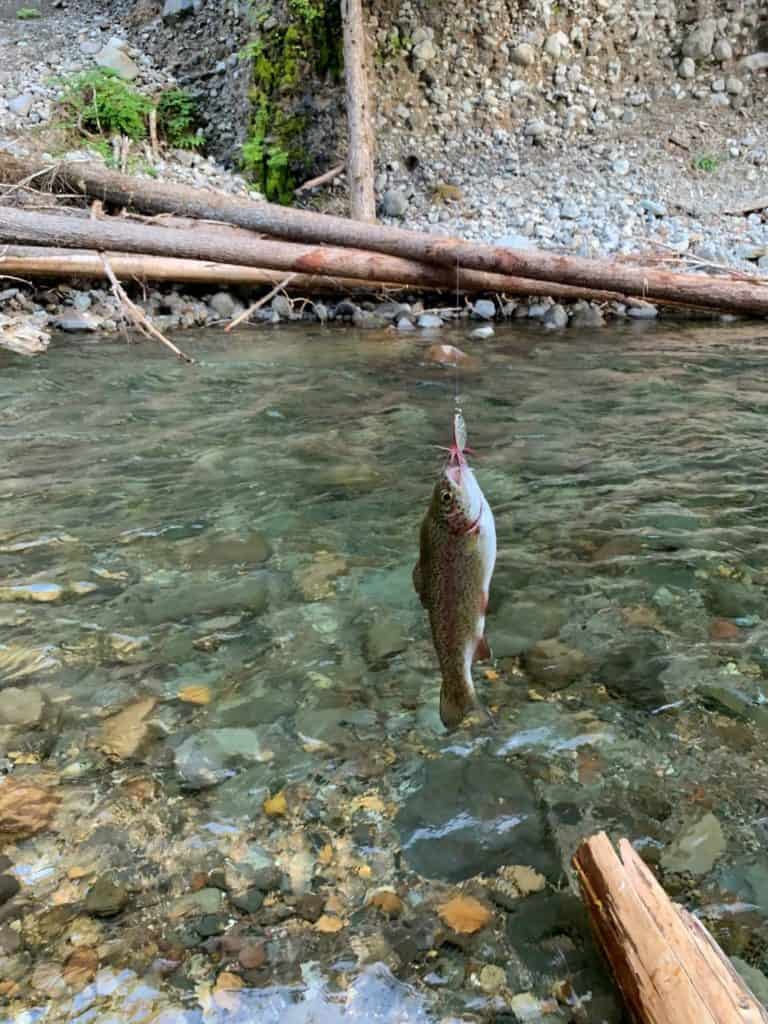  Trout Fishing Basic How-To Techniques and Tips Best 