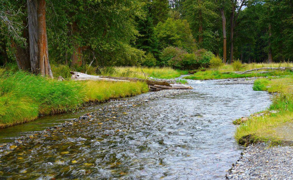 A scenic shot of the small but productive Wallowa River in northeastern Oregon.