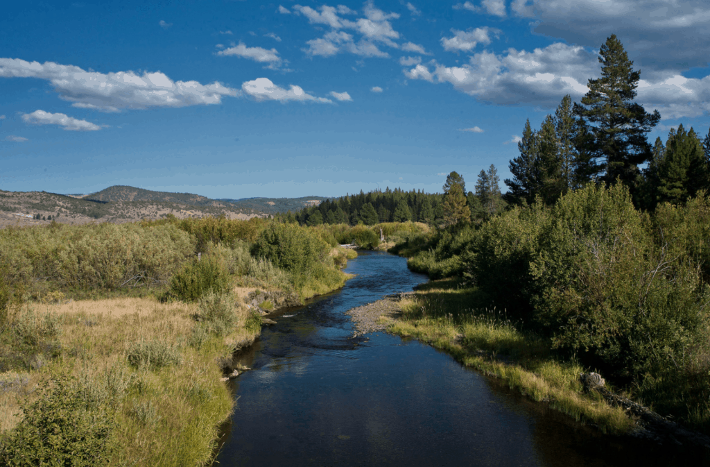 Fishing the Sprague and Sycan Rivers - Best Fishing in America