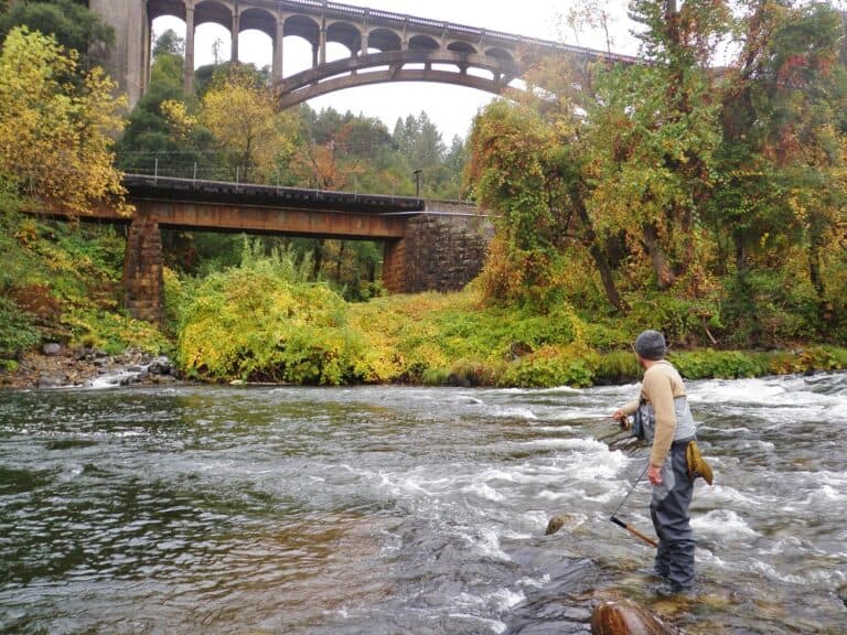 Upper Sacramento River Fly Fishing – Best Fishing in America