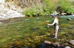 Upper Sacramento River Fly Fishing - Best Fishing in America