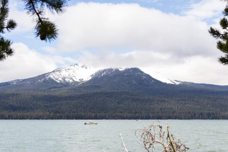 Diamond Lake Trout Fishing Expert Tips for One of Oregon's Best Lakes