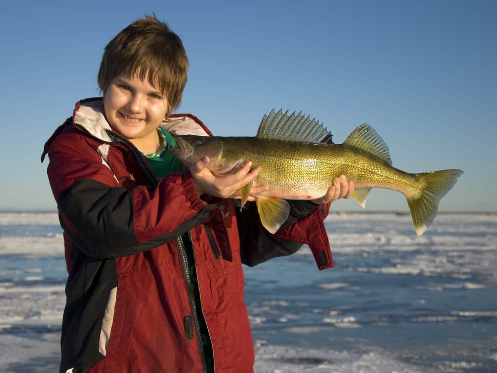 Walleye - Seasonal Tips, Destinations, Gear & Education - In-Fisherman