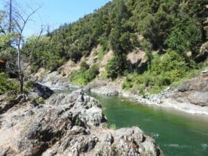 Trinity River Fishing: Catch Steelhead, Trout & Salmon - Best Fishing