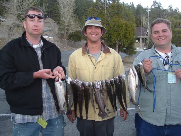 Complete Guide to Big Bear Lake Fishing Best Fishing in America