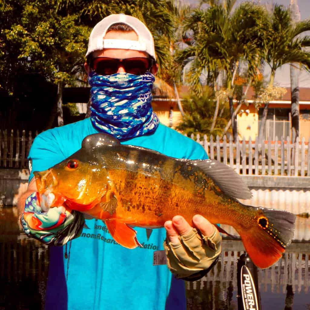 Everything You Need to Know about Fishing the Everglades - Best Fishing in  America