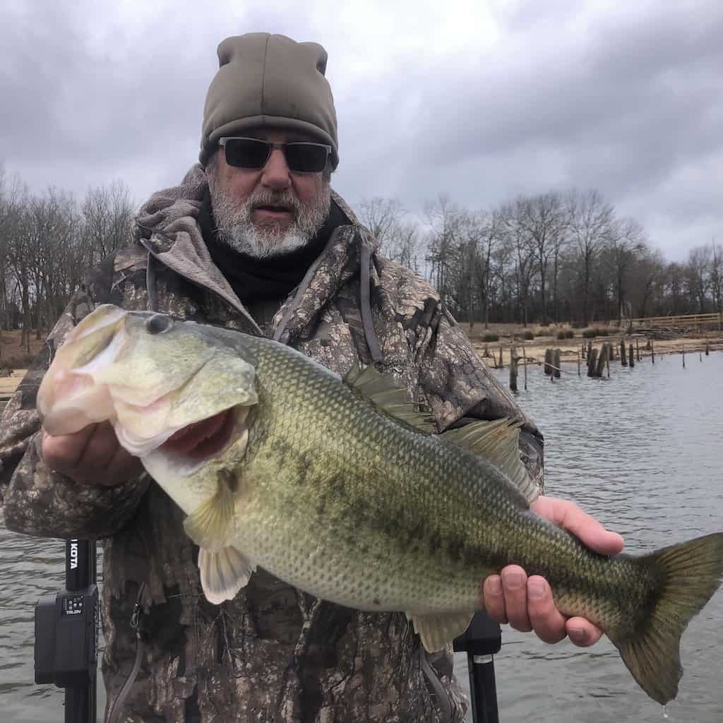 Texas Lake Fork Bass Cold Marc Mitchells Lake Fork Guide Service 