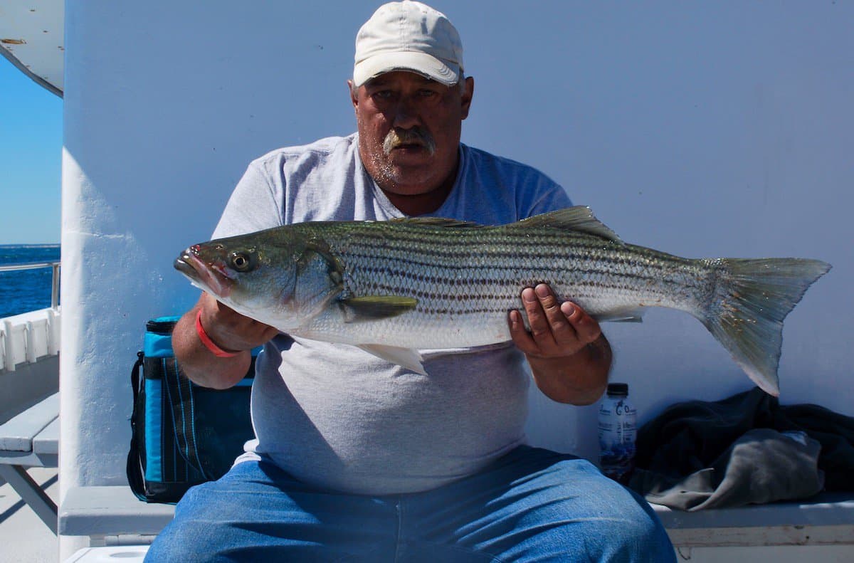 Chesapeake Bay Striper Fishing Complete Angler's Guide Best Fishing