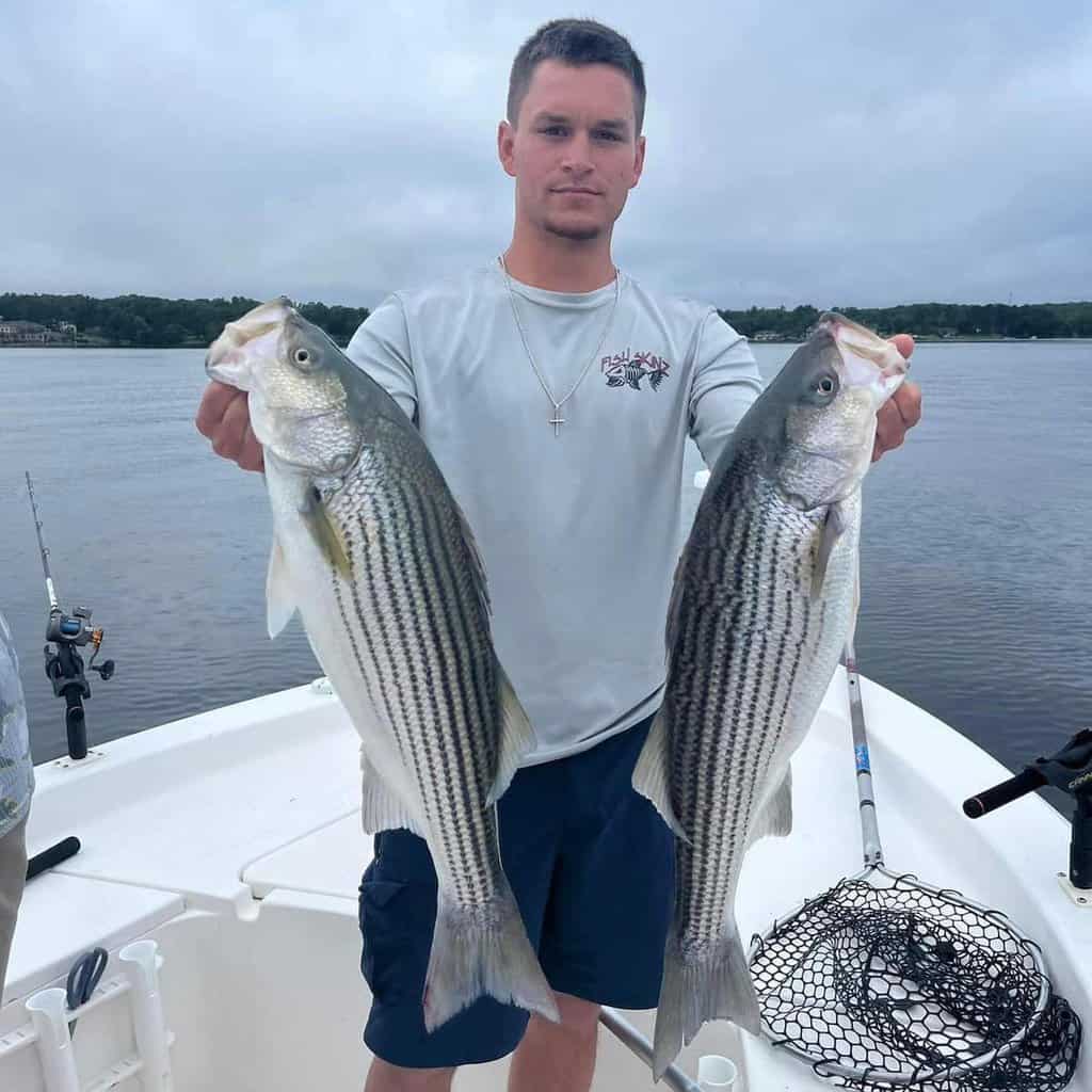 Trolling umbrella rigs for Striper at 3mph and then this happened, a 6